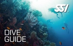 Kurs Przewodnika Nurkowego - SSI Dive Guide. Szkoła Nurkowania Scuba Elite