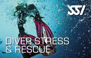 Kurs ratownictwa nurkowego SSI Diver Stress & Rescue ze Szkołą Nurkowania Scuba Elite