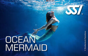 Cennik kursy ceny kursów nurkowania