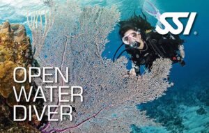 Podstawowy Kurs Nurkowania - SSI Open Water Diver