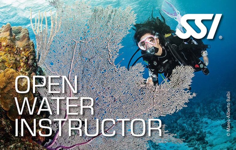 Kurs instruktora nurkowania SSI - SSI Open Water Instructor. Istructor Training Course (ITC).